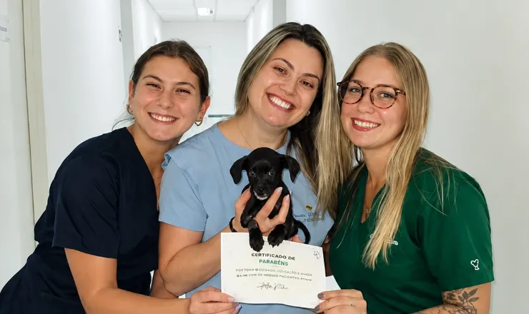Equipe da Point Animal com um filhote