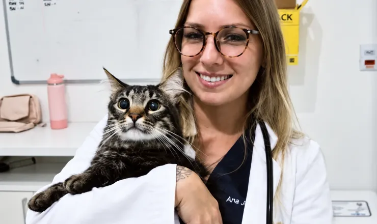 Veterinária da Point Animal com um gato no colo
